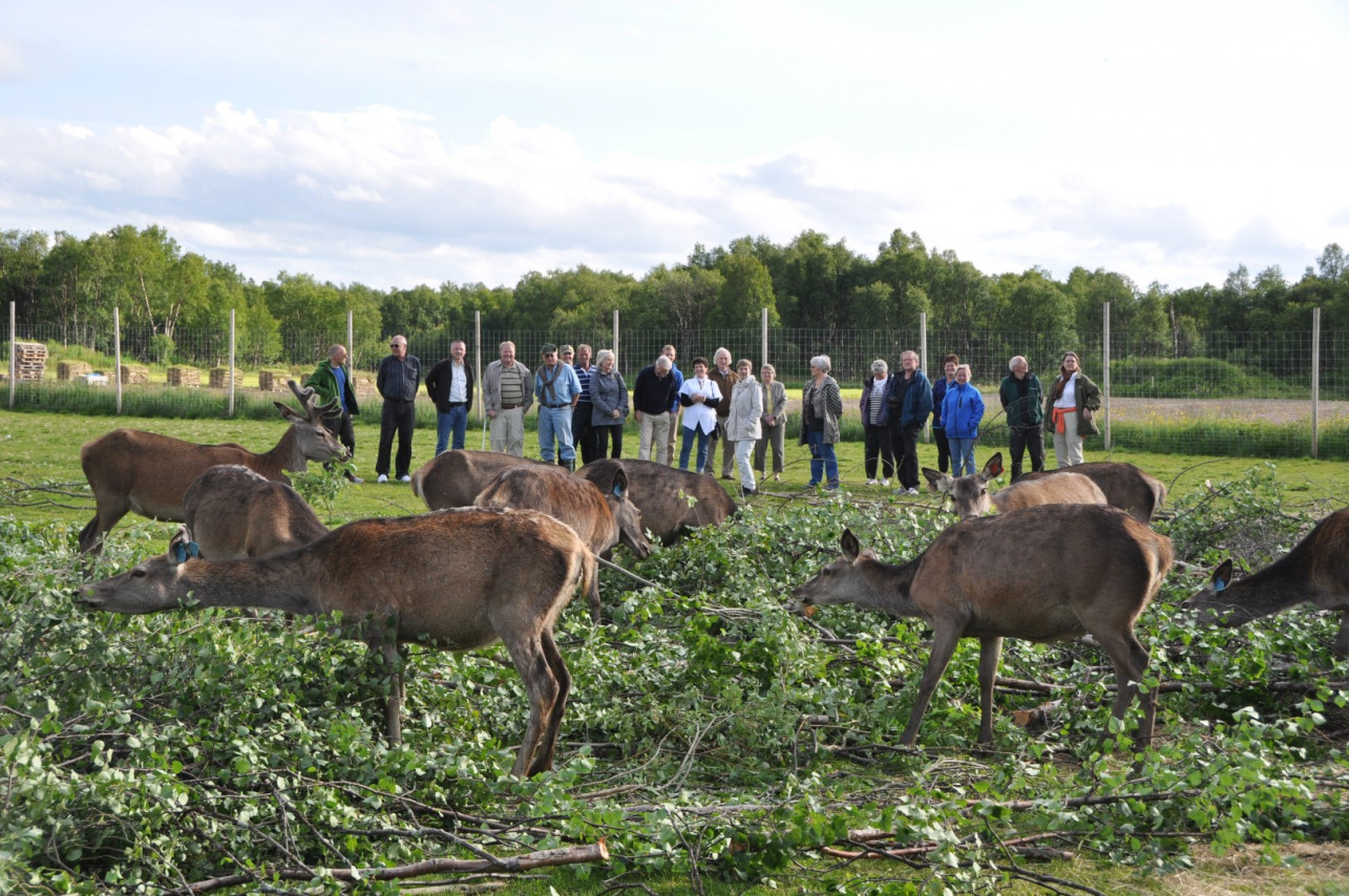 Bedriftsbesøk Torsvoll