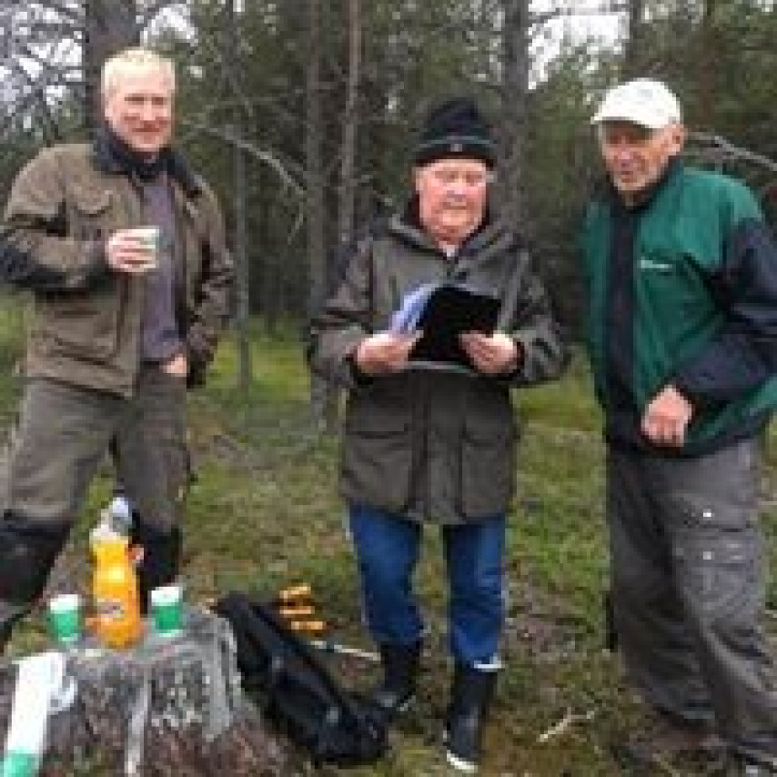 Skogrydding Sjåfram